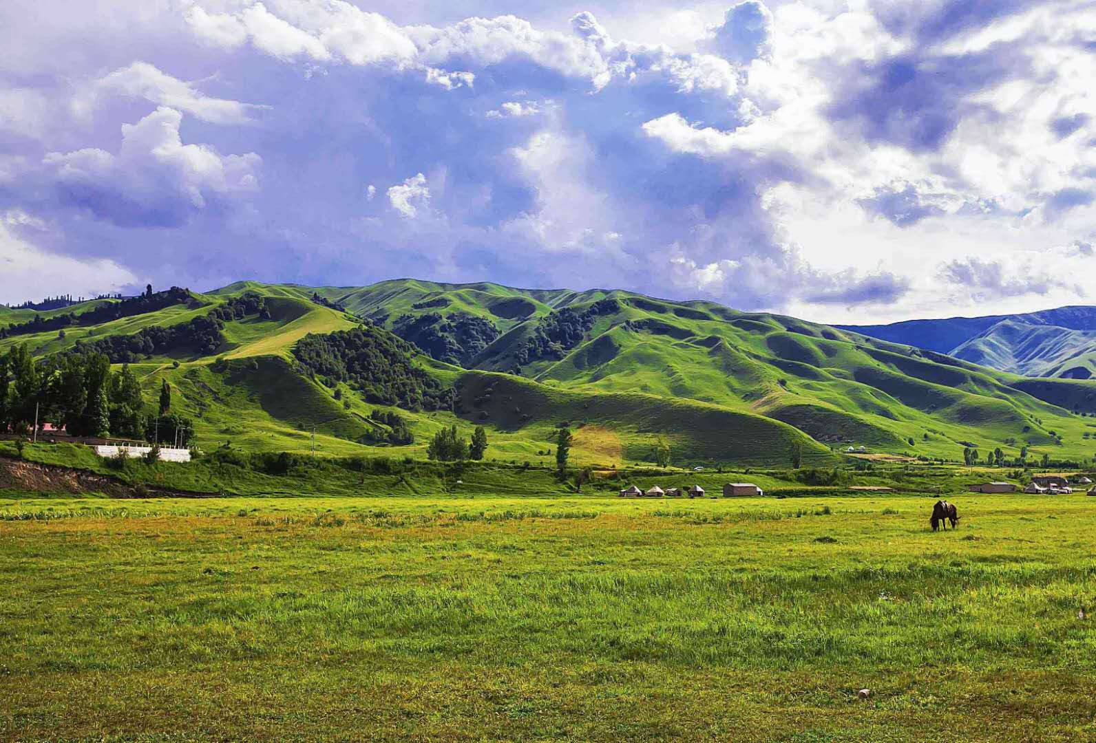 草原生態(tài)系統(tǒng)——草原生態(tài)系統(tǒng)的分布、特點(diǎn)