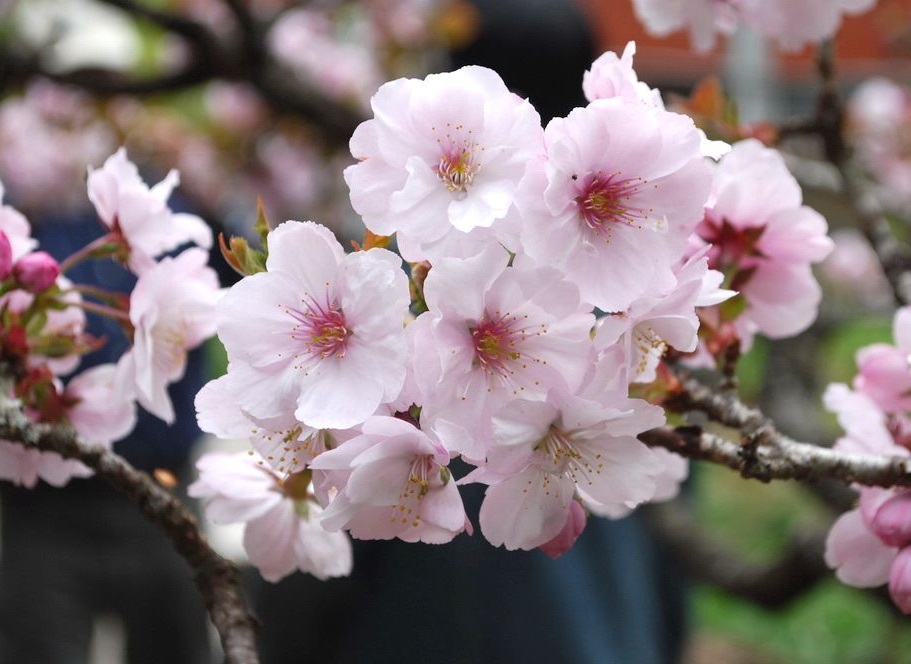 4d086e061d950a7b2b9883940ad162d9f2d3c935.jpg 4d086e061d950a7b2b9883940ad162d9f2d3c935.jpg