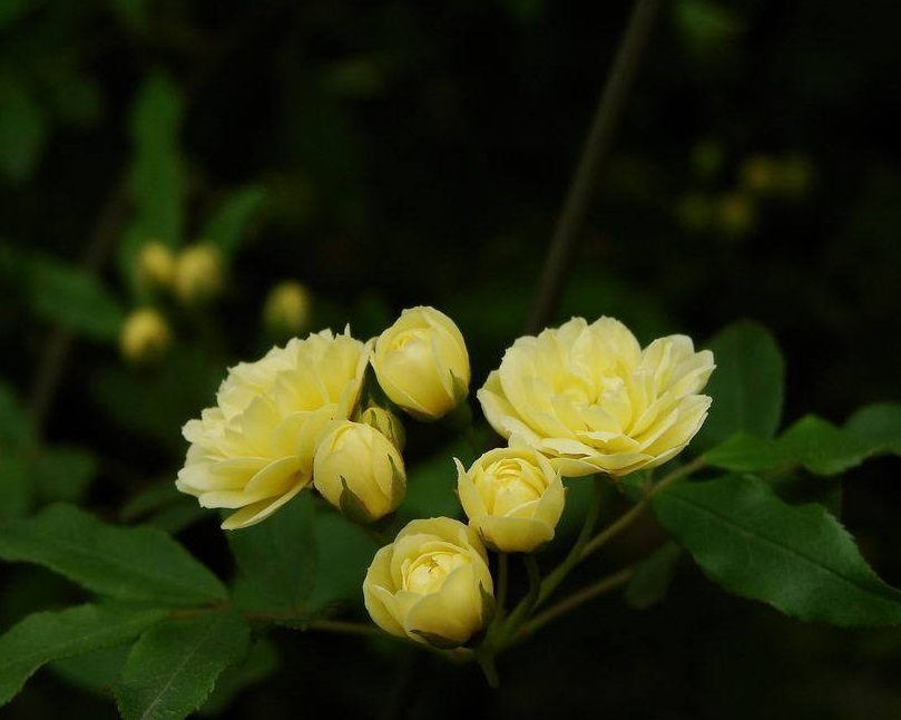 6f061d950a7b020867010c1262d9f2d3562cc87c.jpg 6f061d950a7b020867010c1262d9f2d3562cc87c.jpg